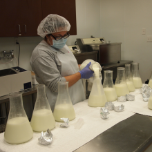 Lab technician pouring breastmilk into flasks