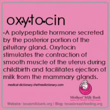 Graphic with definition of the term oxytocin
