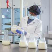 Lab technician pouring breastmilk into a flask