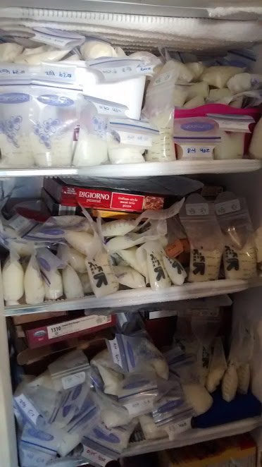 Kristin's freezer Kristin's freezer of stored milk