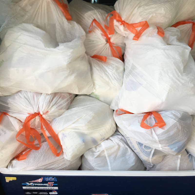 Trash bags full of donated breastmilk