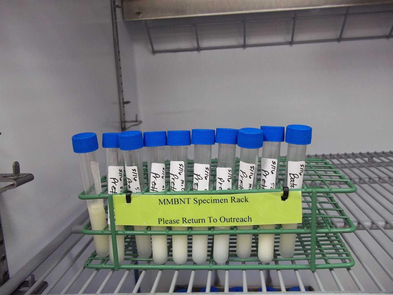 Samples of donor milk in a refrigerator
