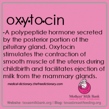 Definition of oxytocin