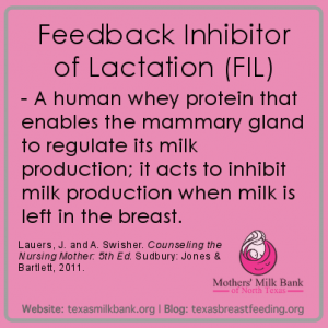 Definition of feedback inhibitor of lactation
