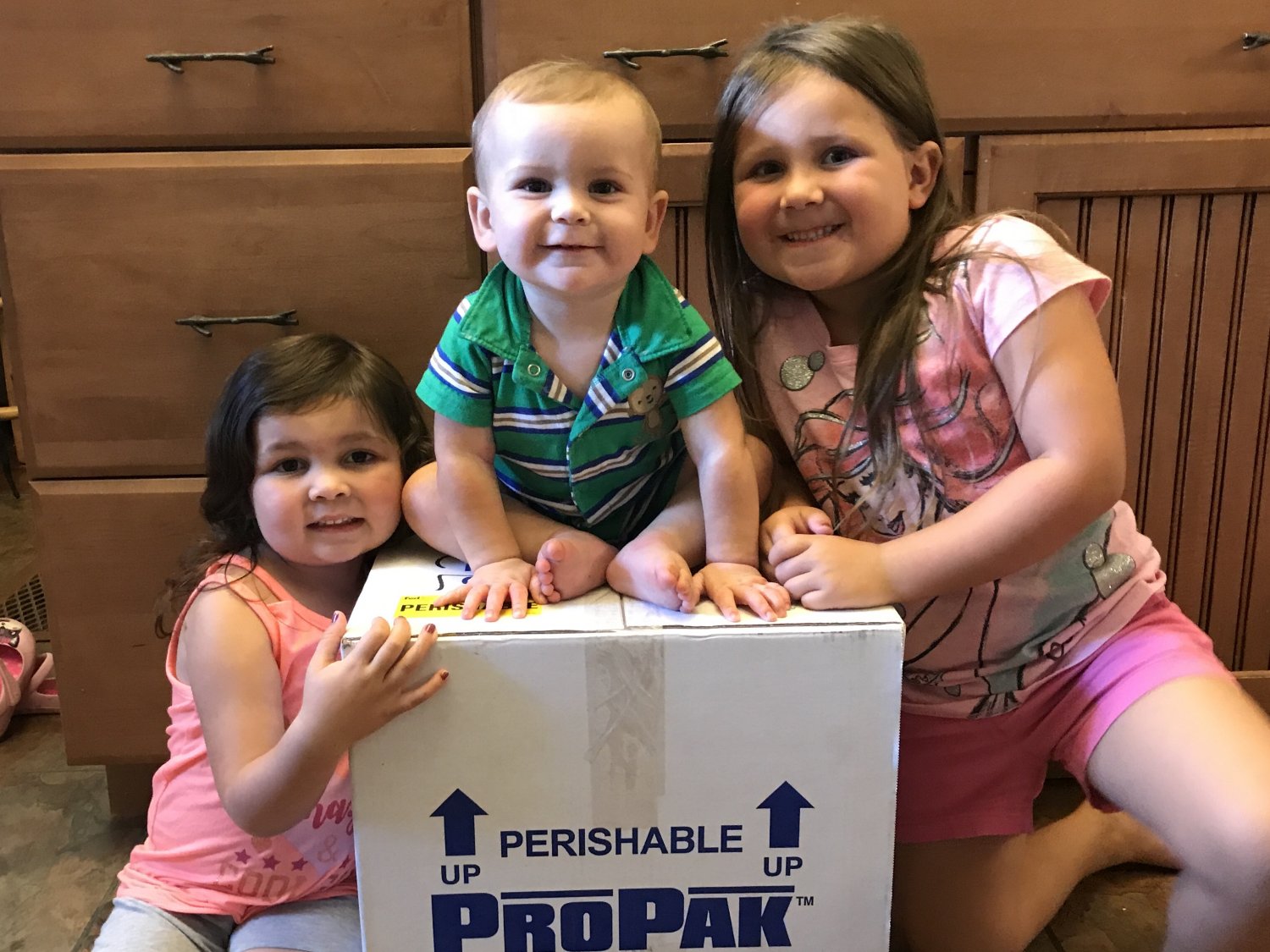 Young girl, toddler girl, and baby boy sit around a box