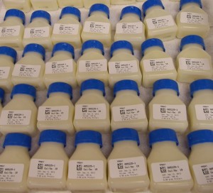 Outgoing bottles of frozen, pasteurized donor human milk.  