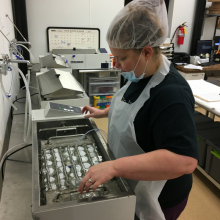 Lab technician placing bottles of donor breastmilk in a shaking water bath