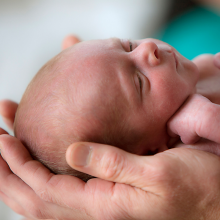 Premature baby resting in parent's hands