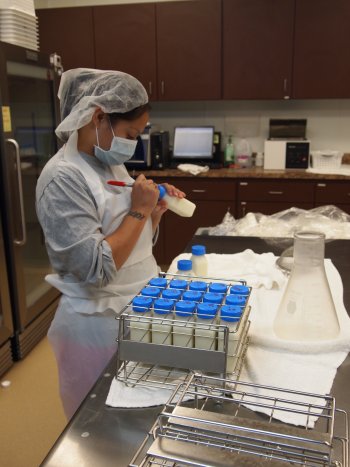 Preparing milk for pasteurization