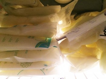 Frozen breastmilk in freezer