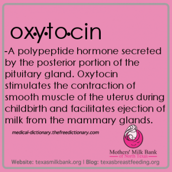 Oxytocin definition