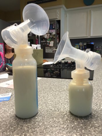 Milk from one pumping session