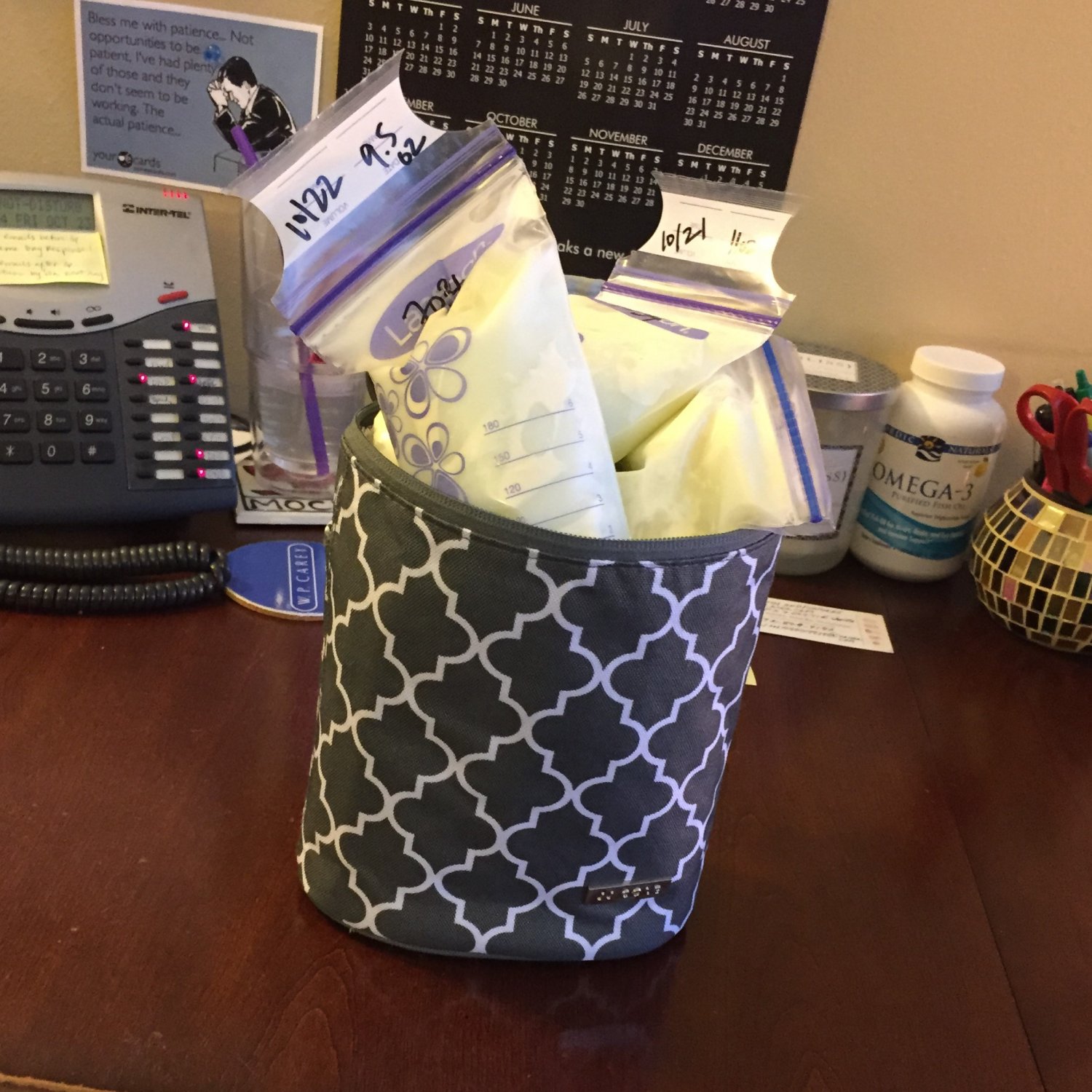 Travel size soft-sided cooler filled with breastmilk bags