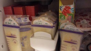 Rows of breastmilk bags in a freezer