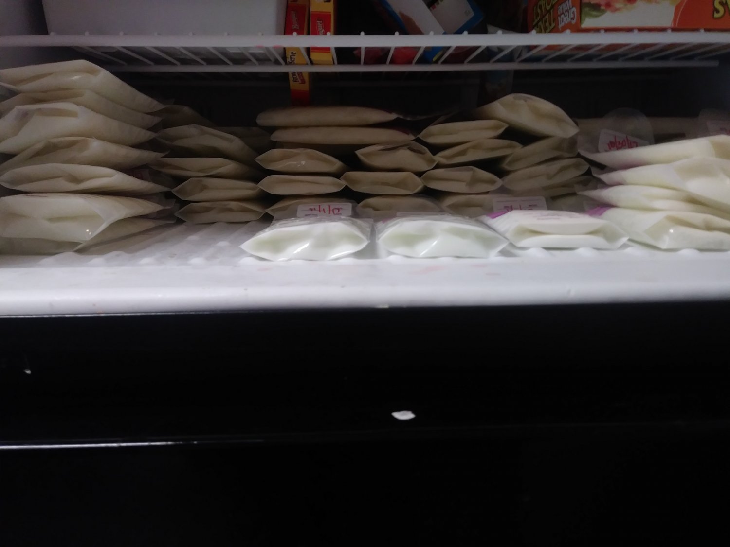 Freezer full of breastmilk bags