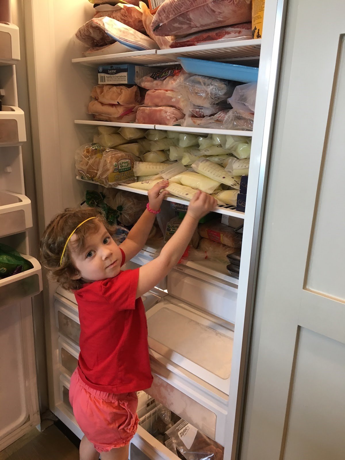 Toddler reaching into freezer