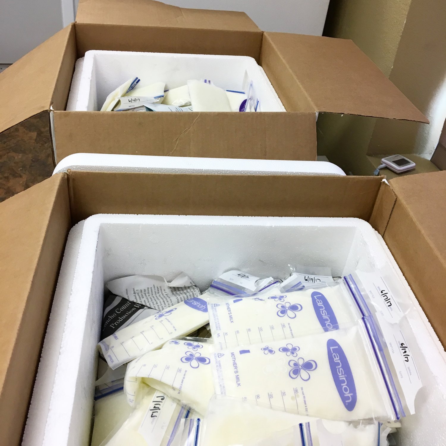 Bags of frozen breastmilk in a shipping cooler