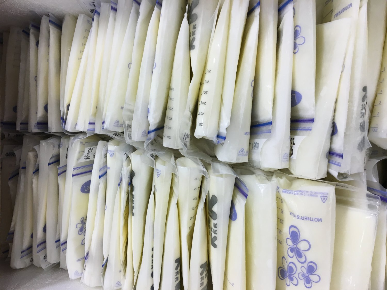 Frozen bags of breastmilk lined up in a shipping container