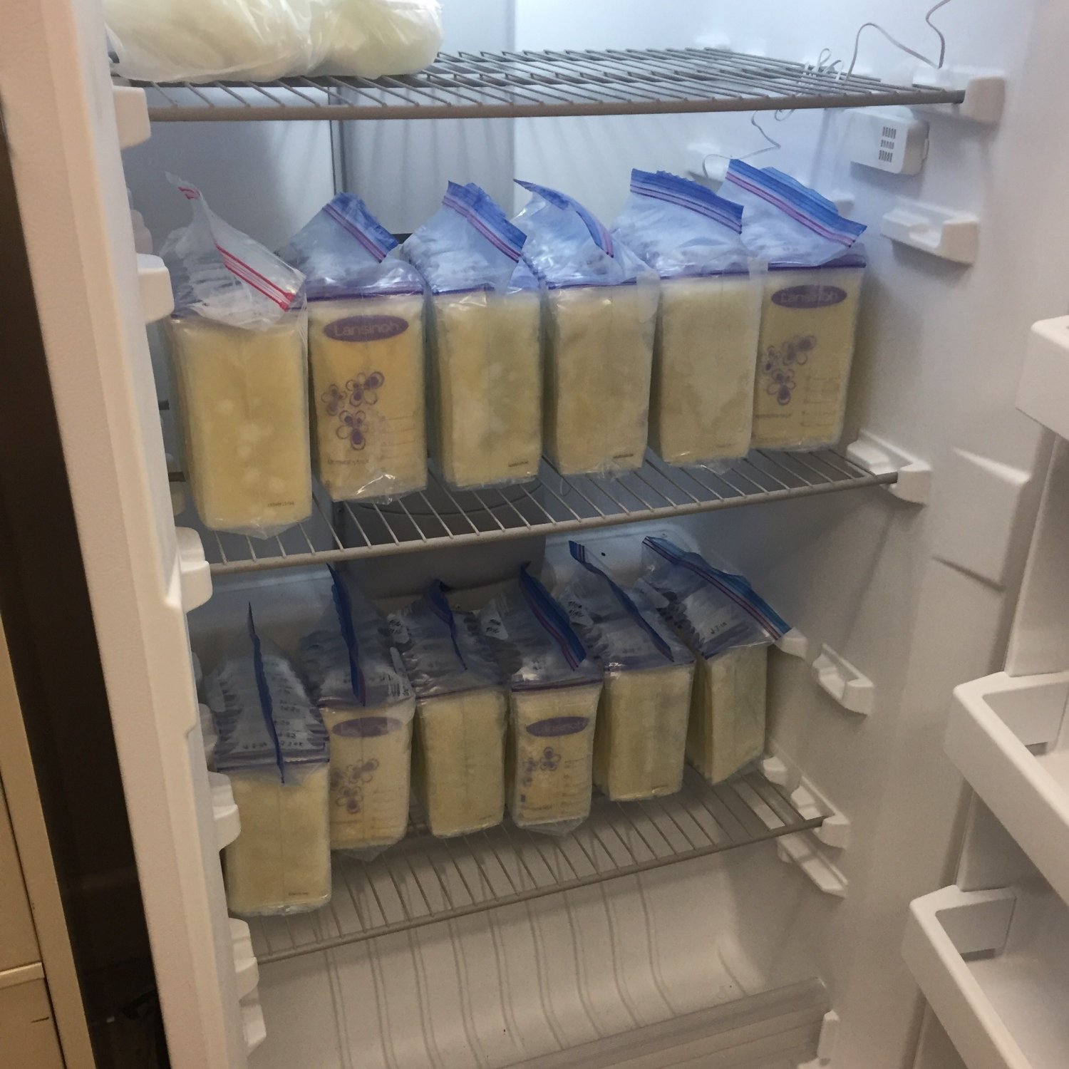 Freezer full of breastmilk bags