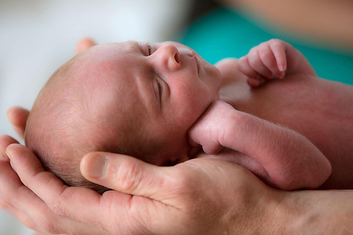 Premature baby held in parent's hands