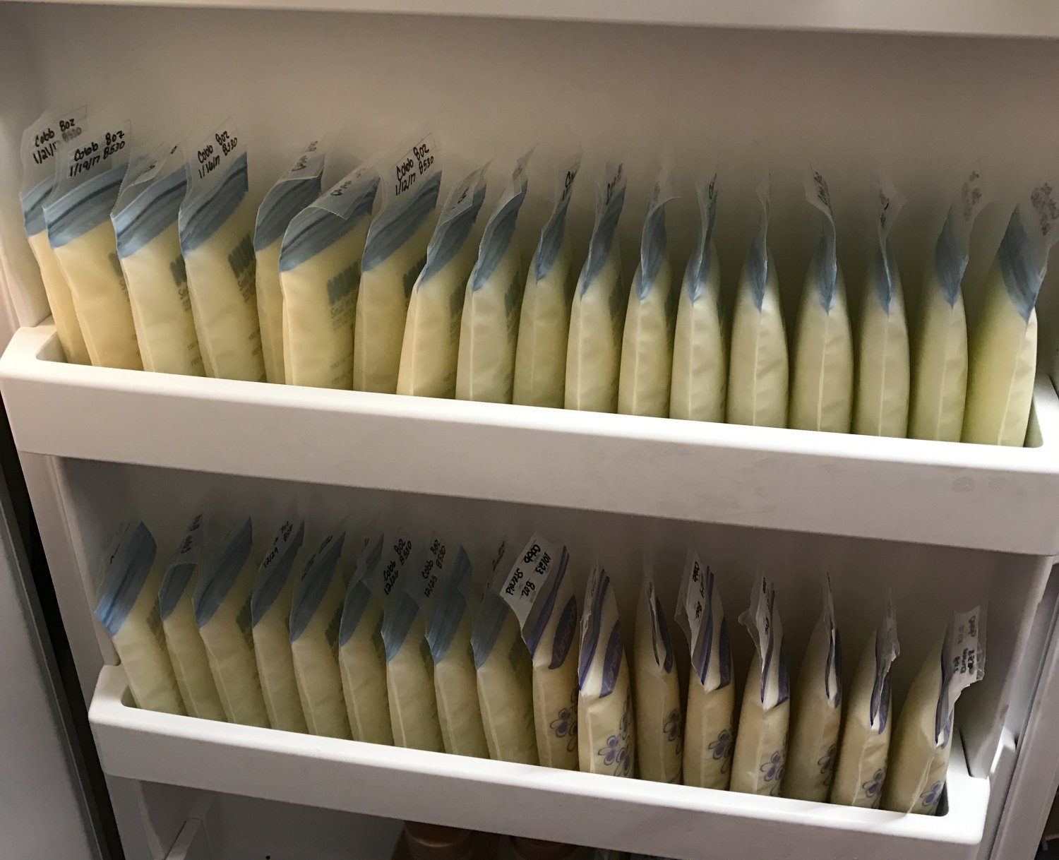 Two shelves on a freezer door full of frozen breastmilk bags